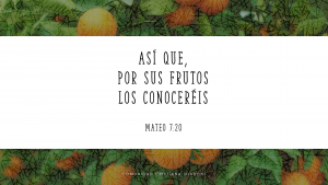Mateo 7:20