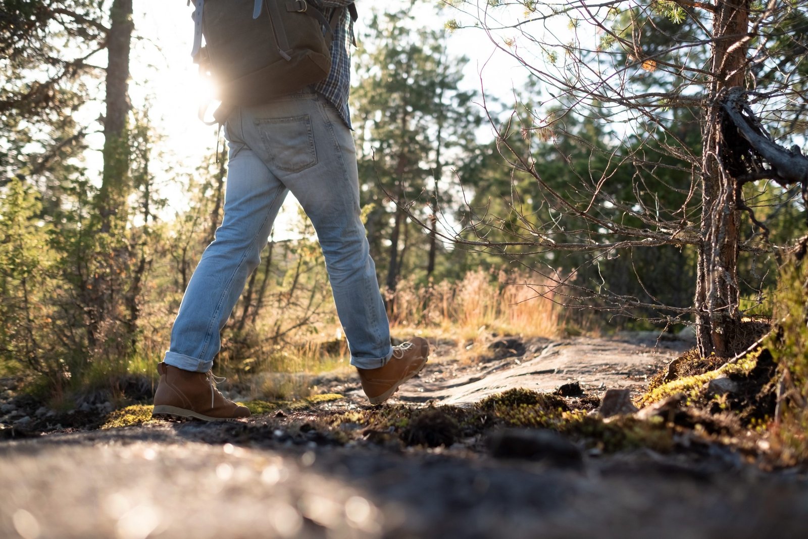 Man walking on a path through the forest. Rear. view