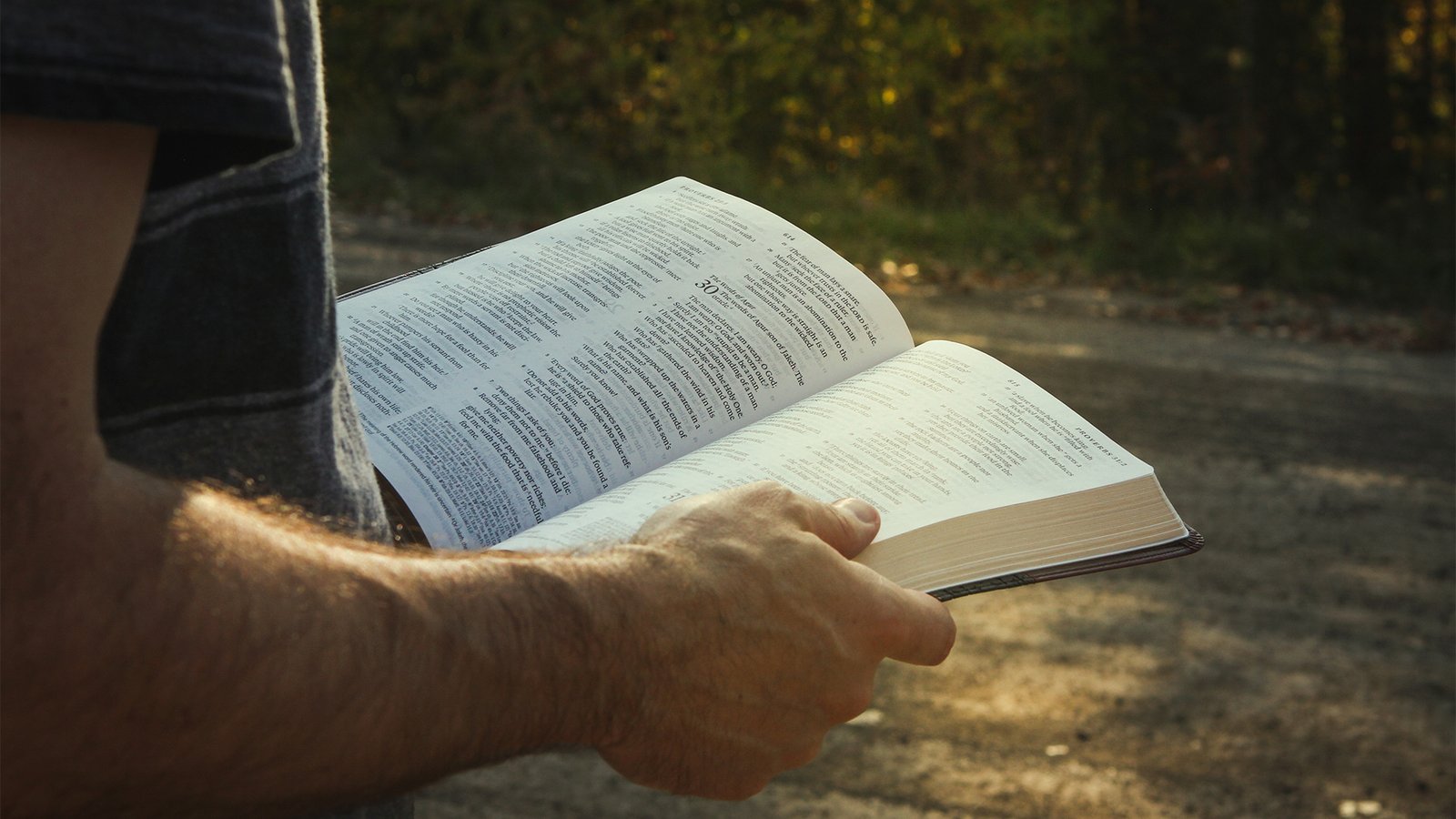 scripture-compounding-interest