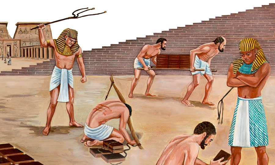 1101978080_univ_cnt_2_xl